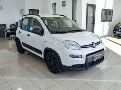 Fiat Panda 1.0 FireFly S&S Hybrid City Life usata