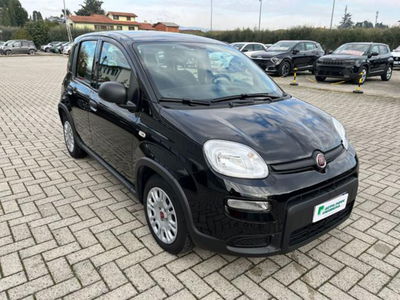 Fiat Panda 1.0 firefly hybrid s&s 70cv usata