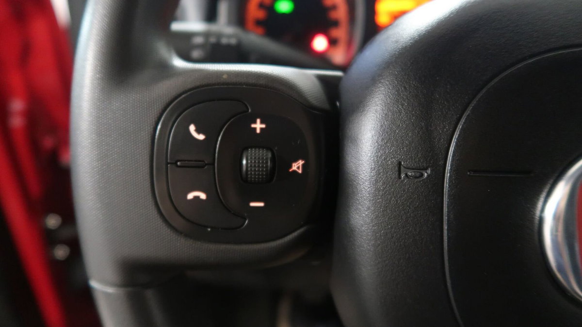 Fiat Panda Cross Cross 1.0 FireFly S&S Hybrid (15)