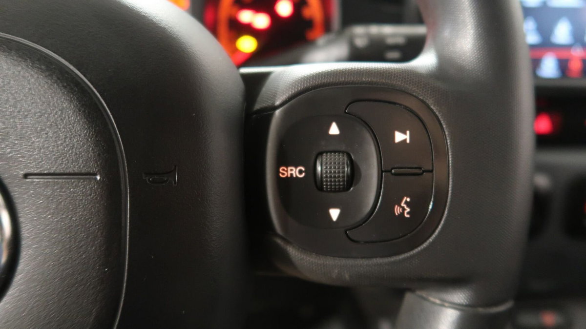 Fiat Panda Cross Cross 1.0 FireFly S&S Hybrid (16)