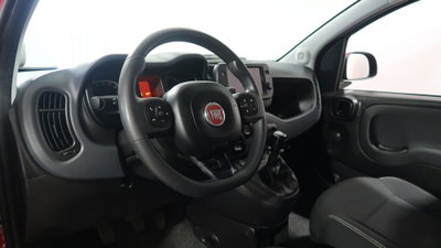 Fiat Panda Cross Cross 1.0 FireFly S&S Hybrid (2)