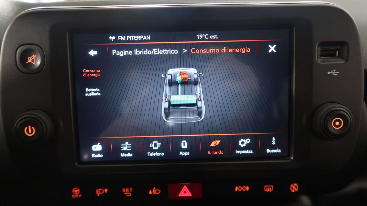 Fiat Panda Cross Cross 1.0 FireFly S&S Hybrid (6)