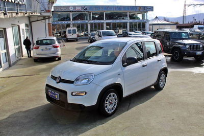 Fiat Panda 1.0 firefly hybrid Pop s&s 70cv usata