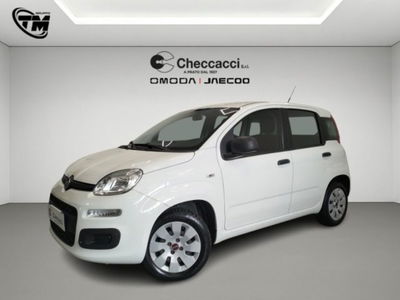 Fiat Panda 1.2 Pop usata