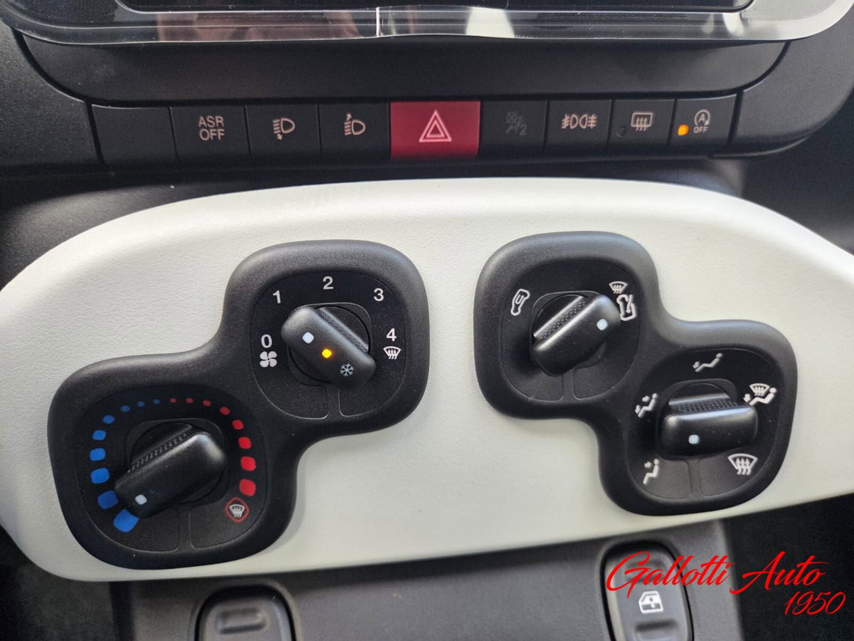 Fiat Panda Cross Cross 1.0 FireFly S&S Hybrid (18)