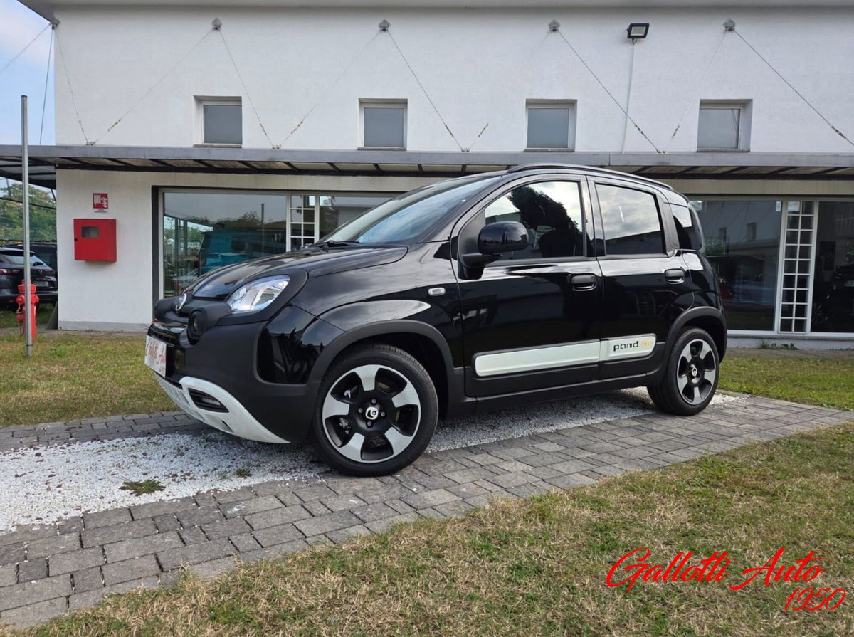 Fiat Panda Cross Cross 1.0 FireFly S&S Hybrid (19)