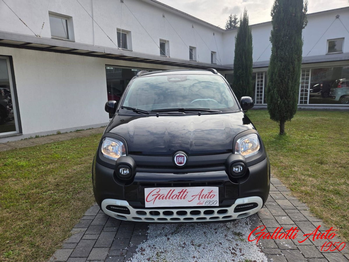 Fiat Panda Cross Cross 1.0 FireFly S&S Hybrid (2)
