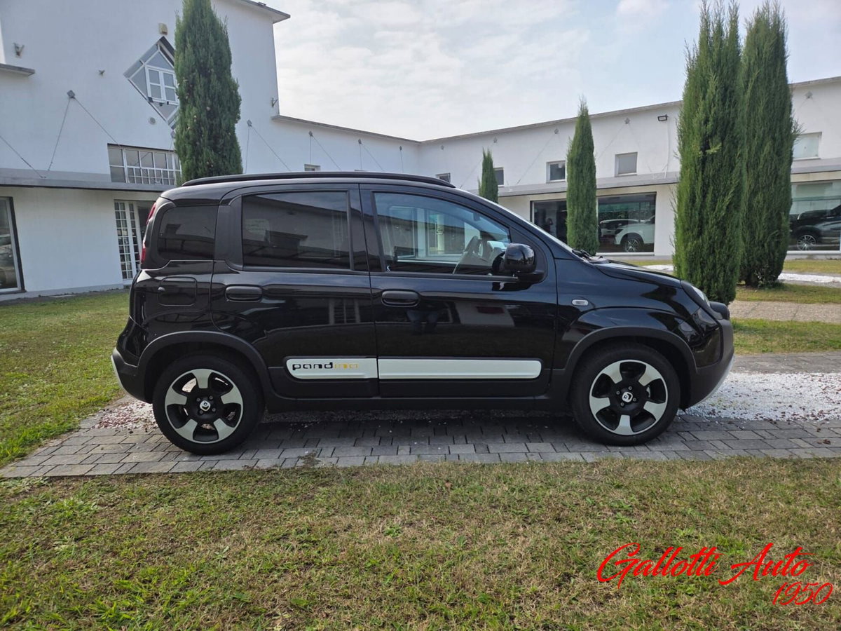 Fiat Panda Cross Cross 1.0 FireFly S&S Hybrid (4)