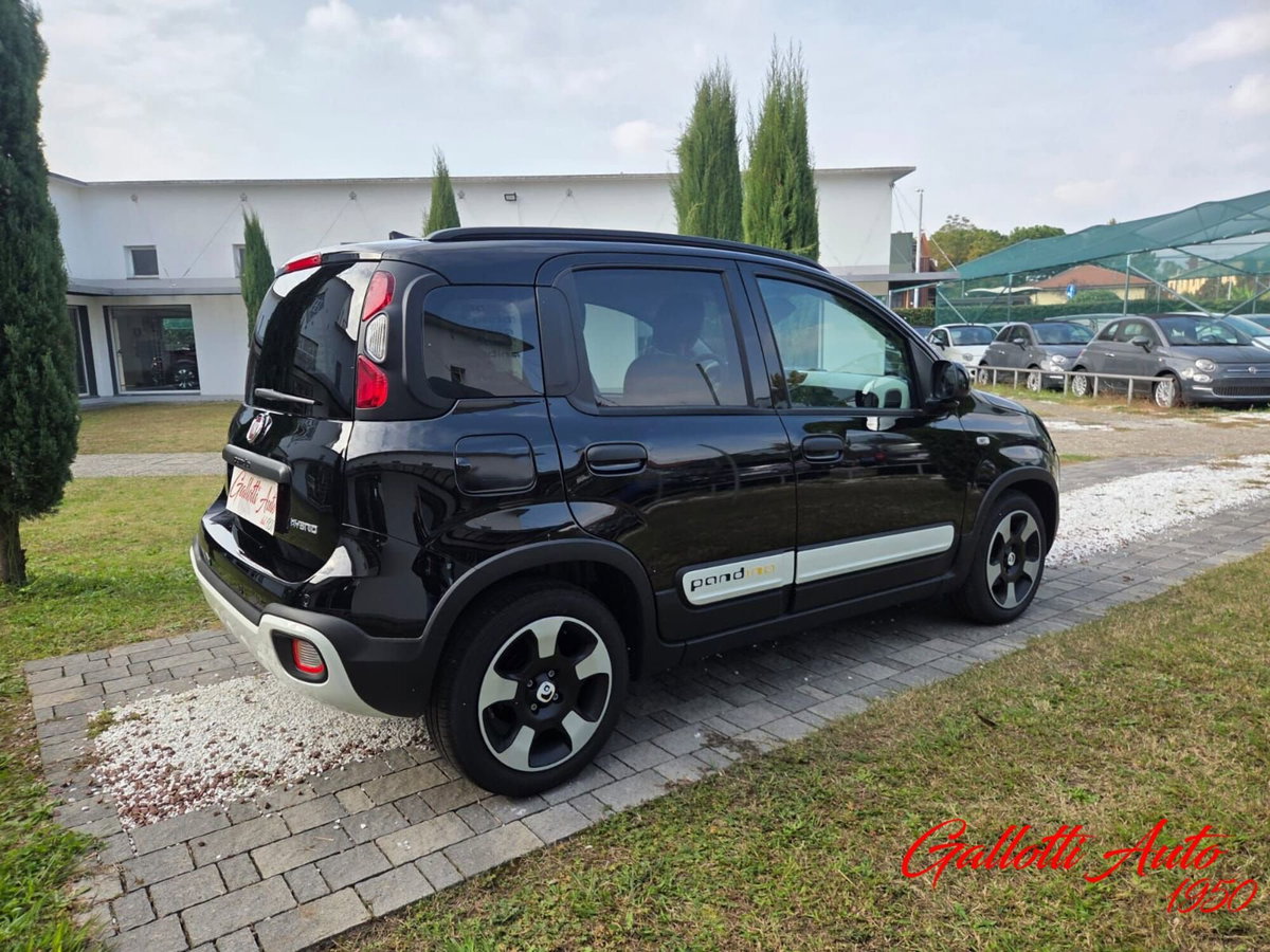 Fiat Panda Cross Cross 1.0 FireFly S&S Hybrid (5)