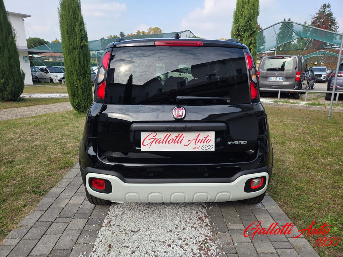 Fiat Panda Cross Cross 1.0 FireFly S&S Hybrid (6)