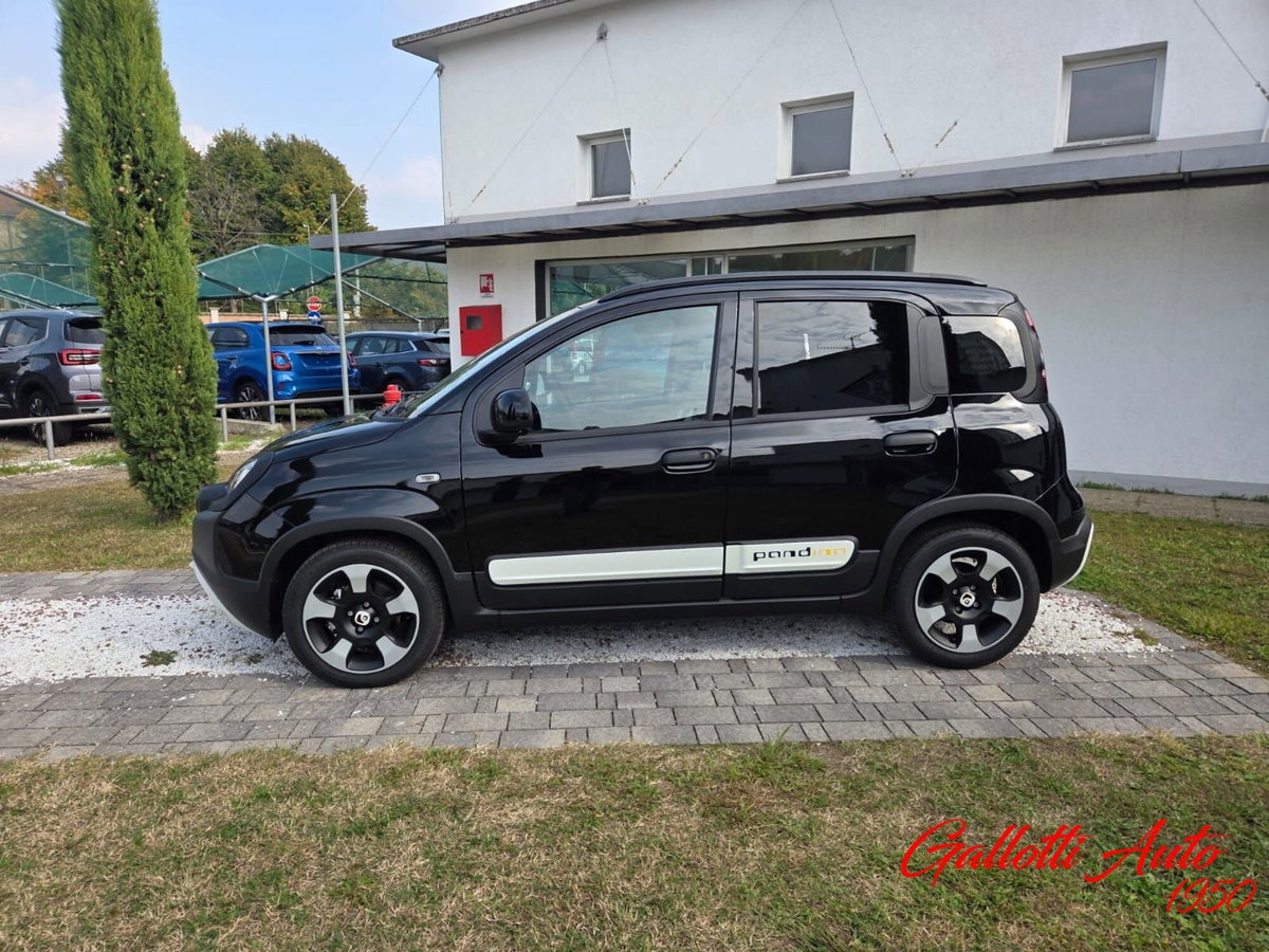 Fiat Panda Cross Cross 1.0 FireFly S&S Hybrid (8)