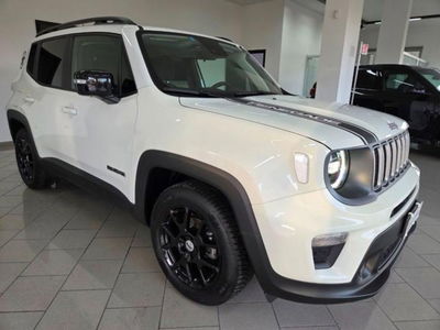 Jeep Renegade 1.6 Mjt 130 CV Limited usata