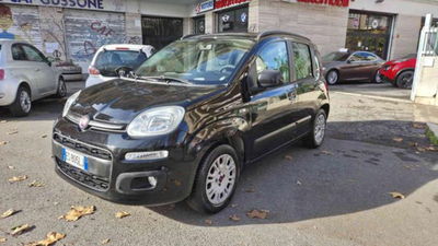 Fiat Panda 1.2 Lounge usata