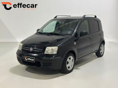 Fiat Panda 1.2 Emotion Eco usata