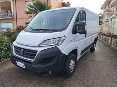 Fiat Ducato Furgone 30 2.0 MJT PC-TM usato