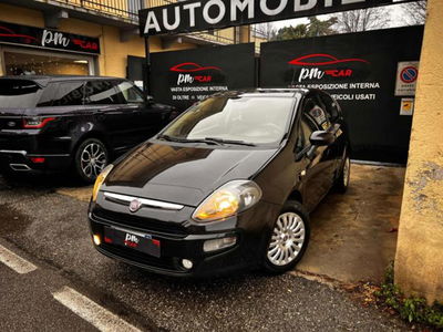 Fiat Punto 1.2 8V 3 porte Easy usata