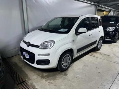 Fiat Panda 1.2 usata