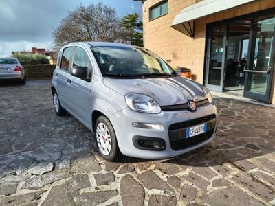 Fiat Panda 1.0 firefly hybrid s&s 70cv 5p.ti usata