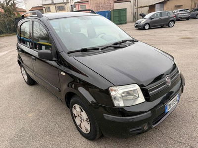 Fiat Panda 1.2 Alessi usata