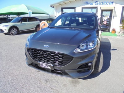 Ford Kuga 1.5 EcoBlue 120 CV aut. 2WD ST-Line X (3)