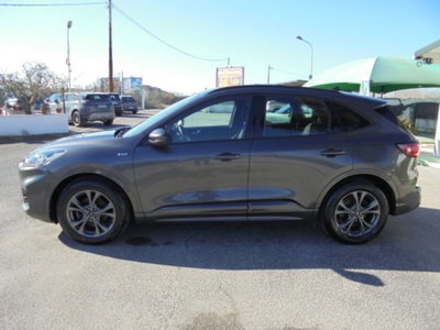 Ford Kuga 1.5 EcoBlue 120 CV aut. 2WD ST-Line X (9)