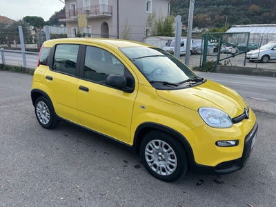 Fiat Panda Cross Cross 1.0 FireFly S&S Hybrid usata