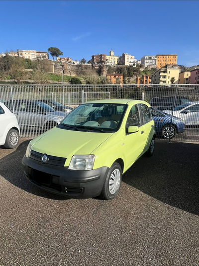Fiat Panda 1.1 Actual usata