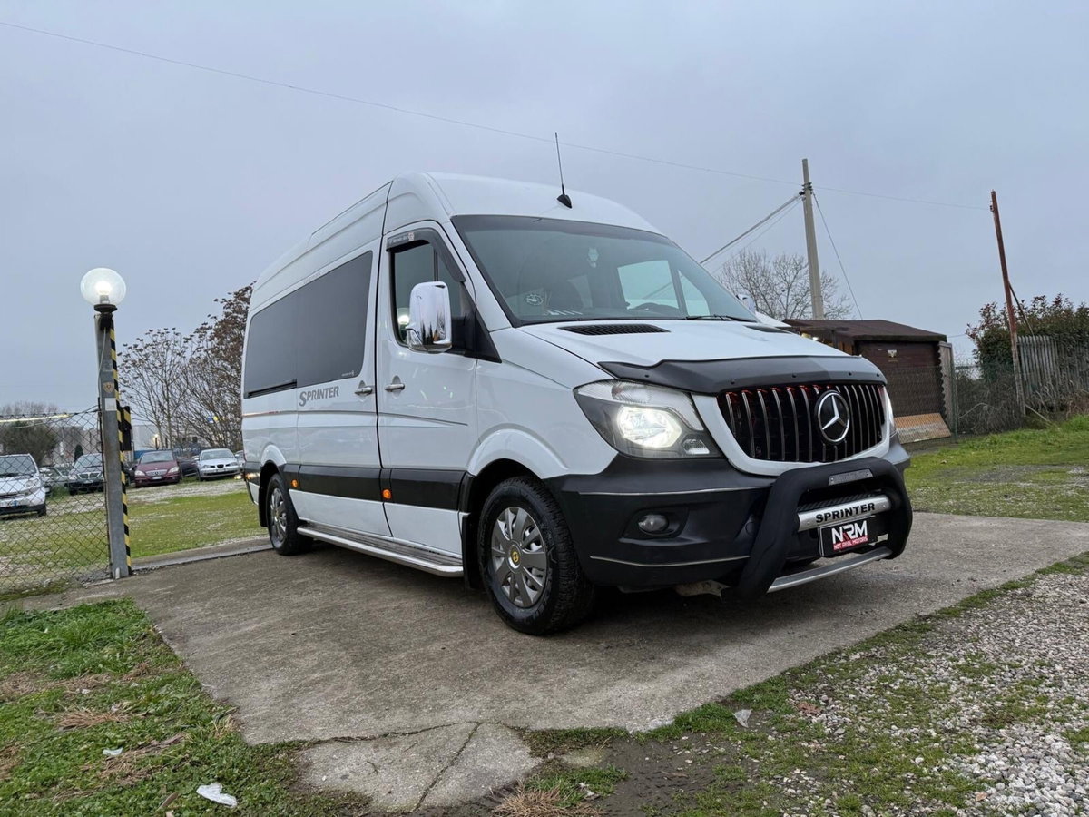 Mercedes-Benz Sprinter K32/32 313 CDI TN Kombi (3)