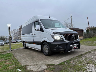 Mercedes-Benz Sprinter K32/32 313 CDI TN Kombi (3)