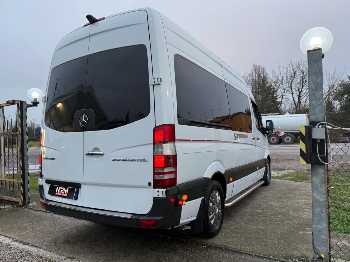 Mercedes-Benz Sprinter K32/32 313 CDI TN Kombi (5)