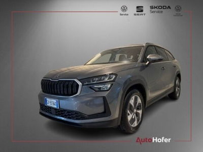 Skoda Kodiaq 2.0 TDI EVO SCR DSG Executive usata