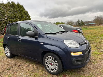 Fiat Panda Cross Cross 1.0 FireFly S&S Hybrid usata