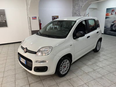 Fiat Panda 1.2 Easy usata