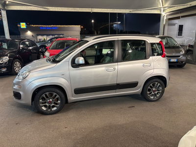 Fiat Panda 1.2 Lounge usata