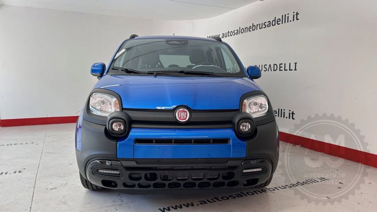 Fiat Panda Cross Cross 1.0 FireFly S&S Hybrid (2)