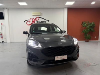 Ford Kuga 1.5 EcoBlue 120 CV aut. 2WD ST-Line X usata