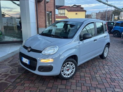 Fiat Panda 1.2 Easy usata