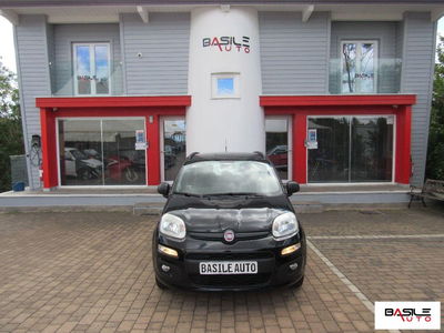 Fiat Panda 1.2 Easy usata