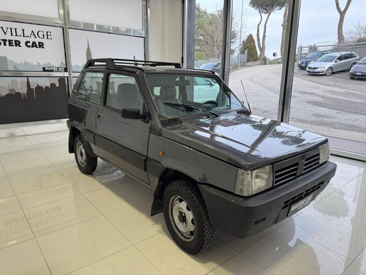 Fiat Panda 1100 i.e. cat 4x4 Trekking (3)