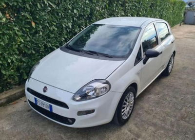 Fiat Punto 1.3 MJT II S&S 95 CV 5 porte Street usata