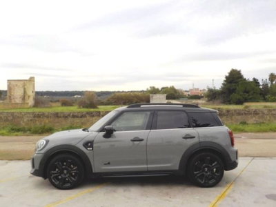 MINI Mini Countryman 2.0 Cooper SD Yours Countryman ALL4 (8)