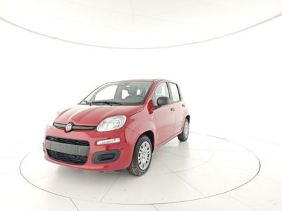 Fiat Panda 1.0 firefly hybrid s&s 70cv 5p.ti nuova