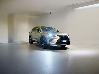 Lexus NX Hybrid 4WD Premium usata