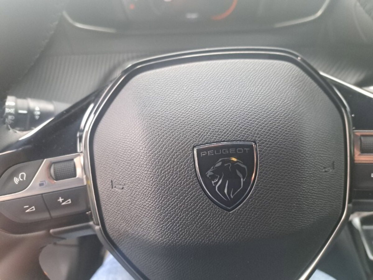 Peugeot 2008 1.2 puretech Active s&s 100cv (9)