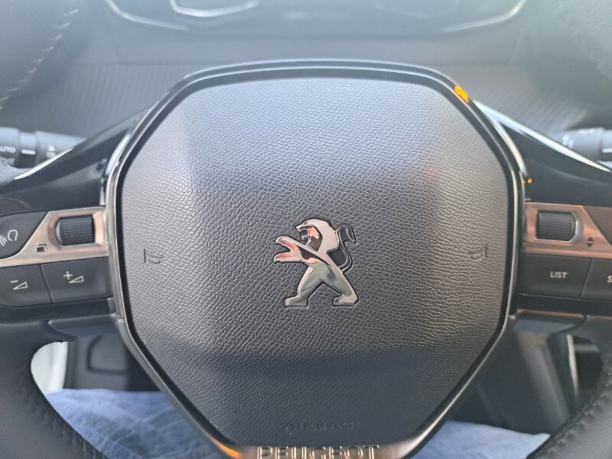 Peugeot 208 PureTech 75 Stop&Start 5 porte Active Pack (5)