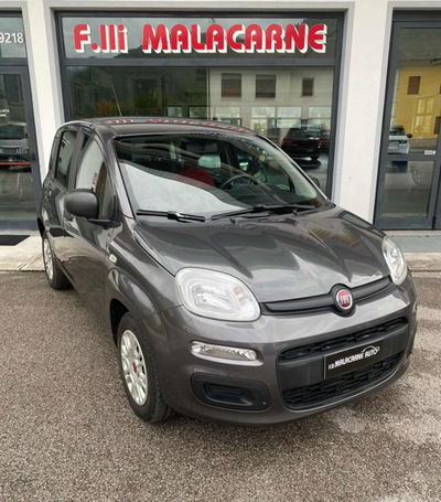 Fiat Panda 1.2 Easy usata
