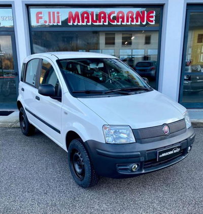 Fiat Panda 1.2 4x4 usata