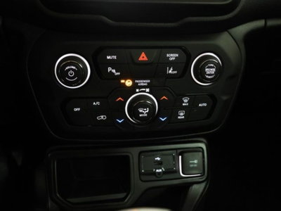 Jeep Renegade 1.5 Turbo T4 MHEV Limited (19)
