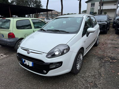 Fiat Punto Evo 1.2 5 porte S&S Active usata
