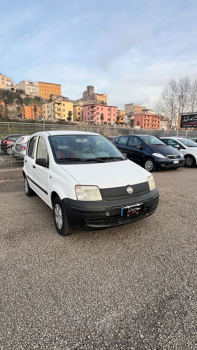 Fiat Panda 1.3 MJT 16V Dynamic usata